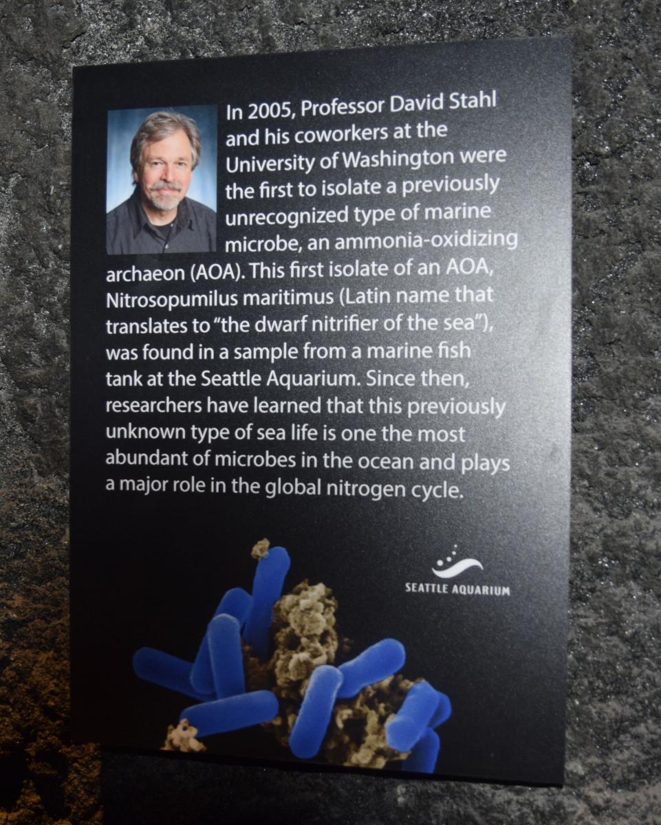 2019 Seattle honors David Stahl 2
