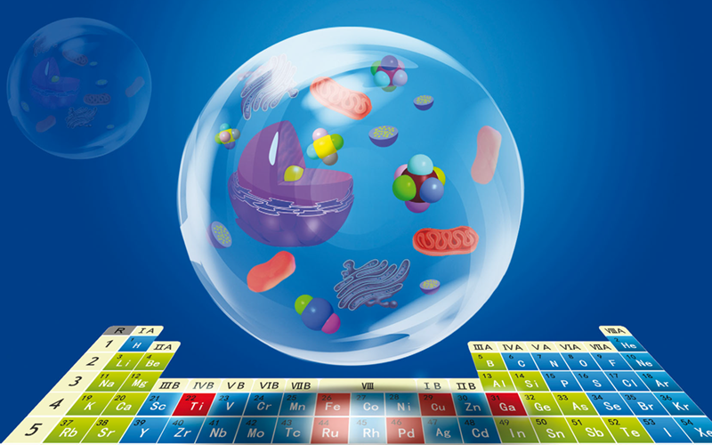 Metallomics of Two Featured on Metallomics Blog ENIGMA