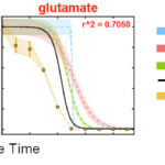 Predicting-metabolic-properties-using-dynamic-substrate-preference (1)