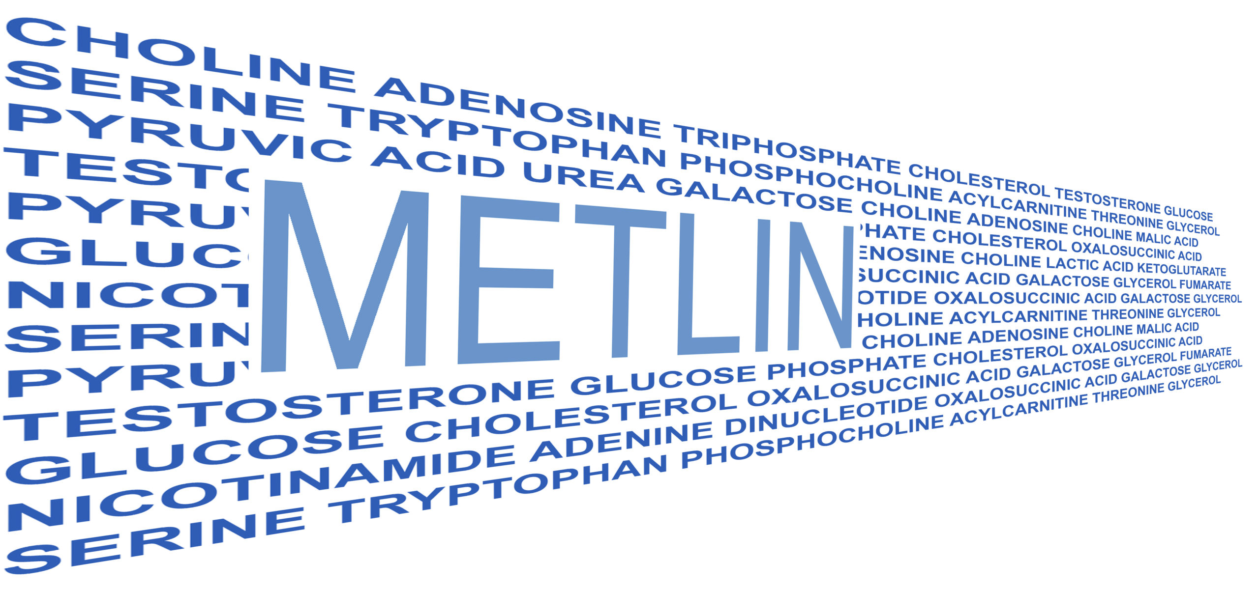 METLIN metabolite logo