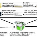 Schematic diagram showing the process of inputting cells of synthetic community and environment isolates into an automated benchtop liquid handler to prepare them for high-throughput proteomic analysis.