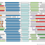 Snapshot showcasing the dashboard of fast.genomics, a new tool which shows a search query protein and several proteins that are related to that protein or located in a similar place to the searched protein in the genomes of many species of bacteria and archaea.