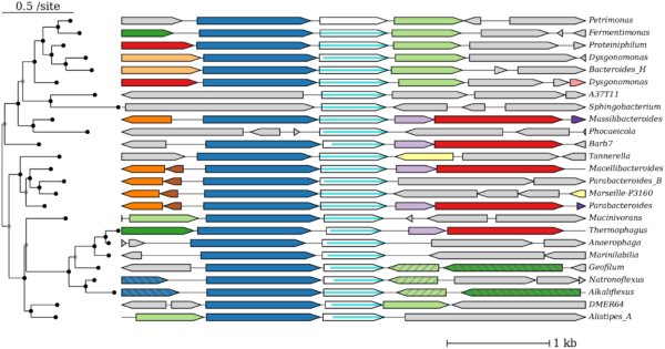 Snapshot showcasing the dashboard of fast.genomics, a new tool which shows a search query protein and several proteins that are related to that protein or located in a similar place to the searched protein in the genomes of many species of bacteria and archaea.