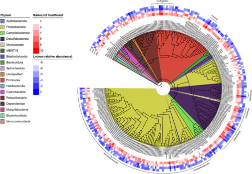 Colorful, round diagram showing the branching relationships between different microbial species.